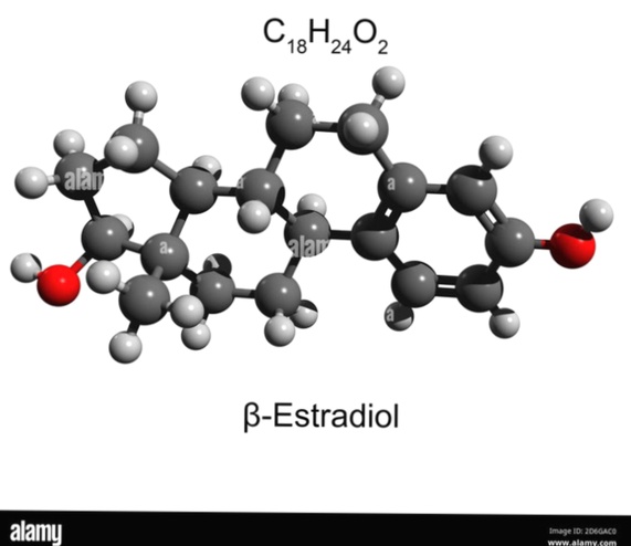 estradiolo