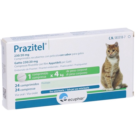 praziquantel