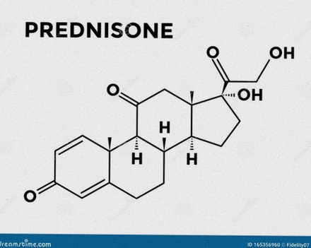 prednisone