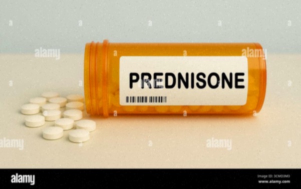 confezione prednisone generico